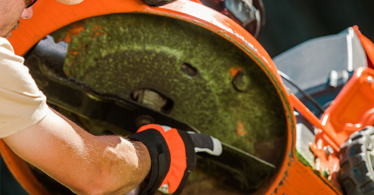 Summer-Ready Yard Tools: How to Tune Up Lawn Equipment for Peak Season