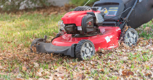 The Last Mow