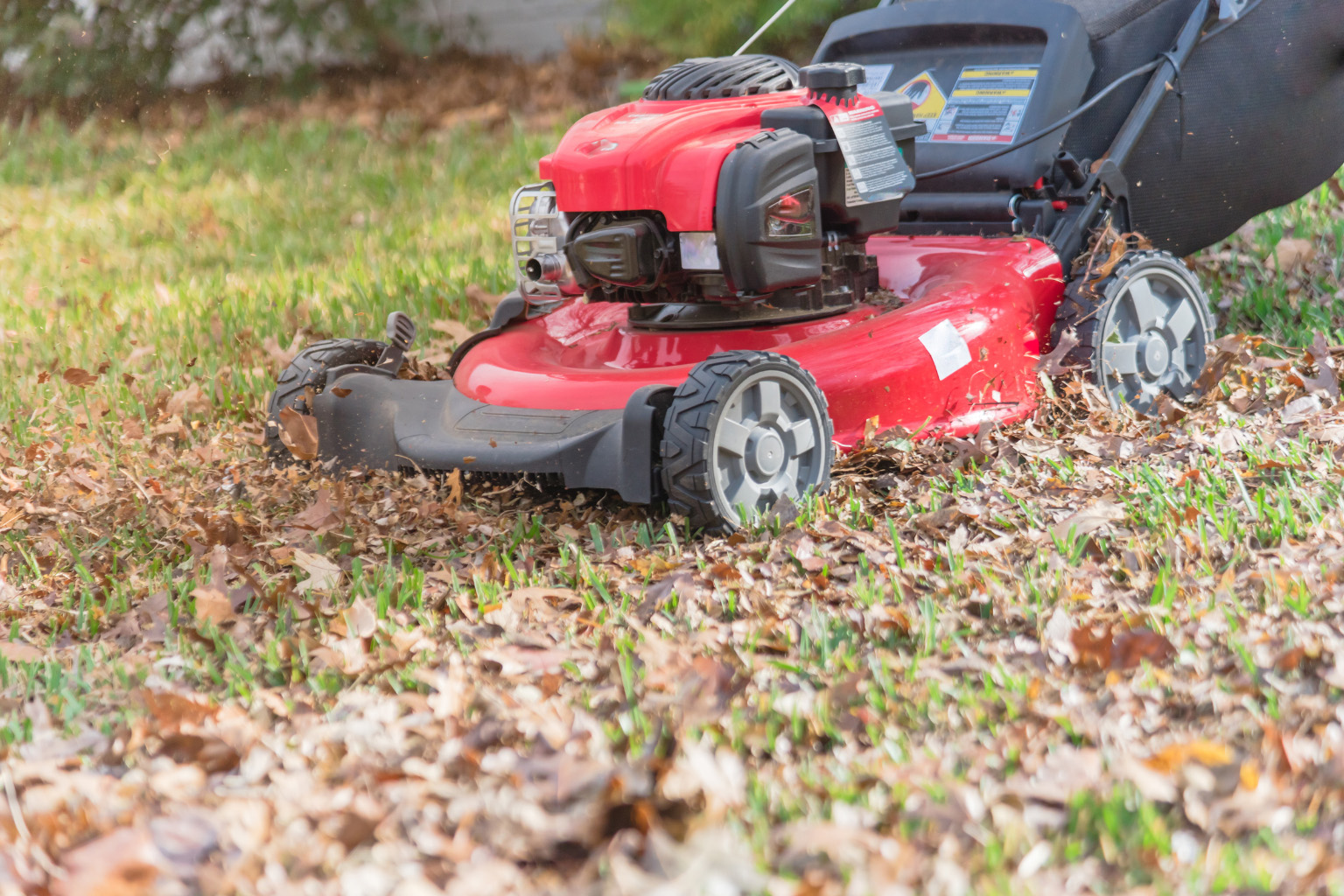 Mower Mulching Leaves