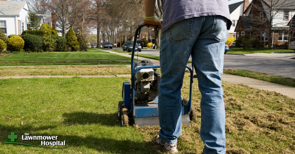 Essential Lawn Care Tools For Spring