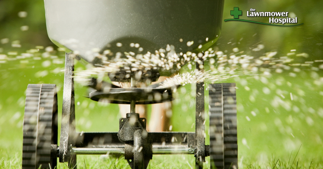 Essential Lawn Care Tools for Spring: From Aerators to  Seeders