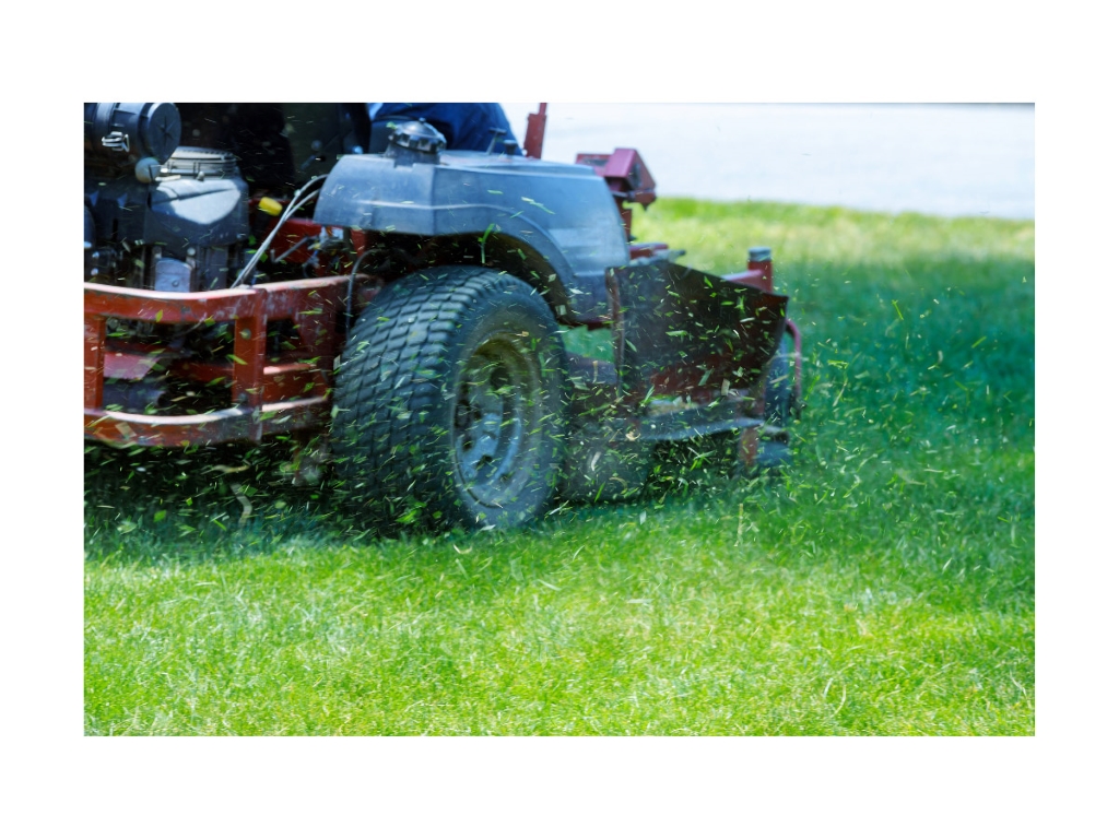 Zero-Turn Mower in Action