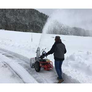 Single-stage BCS Snow Thrower