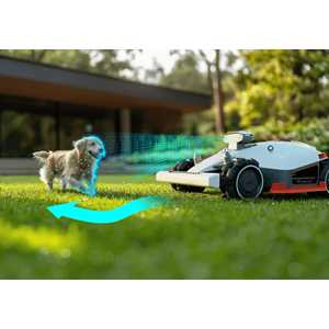 Mow or Avoid