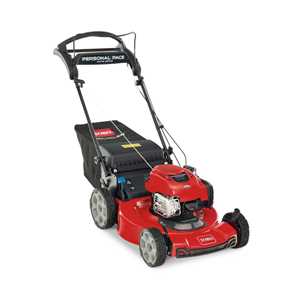 Toro Lawnmowers - 21462 Recycler