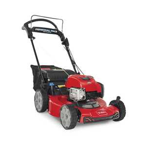 Toro Lawnmowers - 21464 Recycler